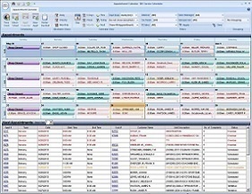 IDS Appointment Calendar