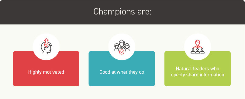 Who are peer to peer training champions